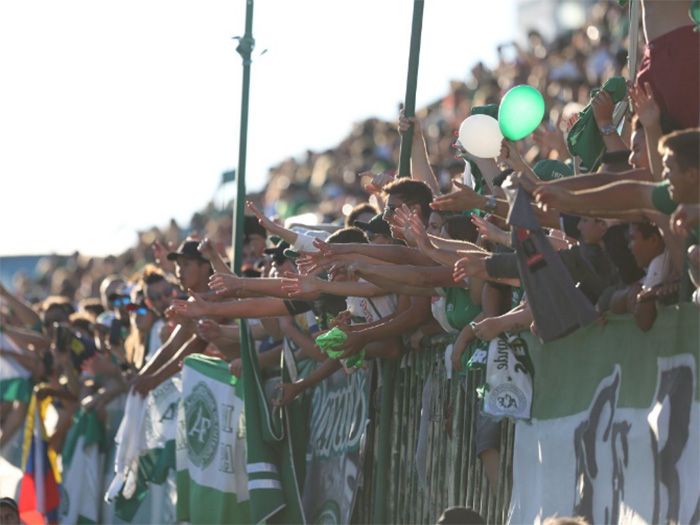 Imagem 0
