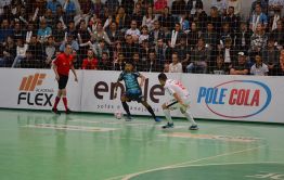 Imagem 15