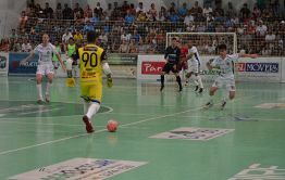 Imagem 7