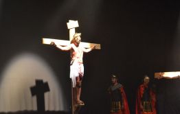 Imagem 15