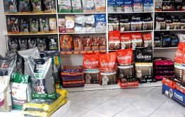 Imagem 2