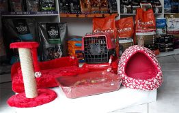 Imagem 1