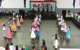 Imagem 3