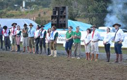Imagem 12