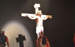 Imagem 14