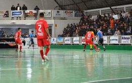 Imagem 12