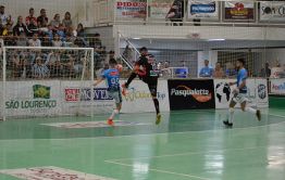 Imagem 11