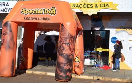 Imagem 0