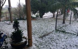 Imagem 2