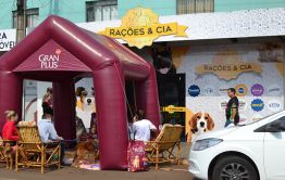 Imagem 0